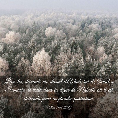 Picture 03 - 1 Rois 21:18 LSG - Lève-toi, descends au-devant d'Achab, roi - Bible Verse Picture