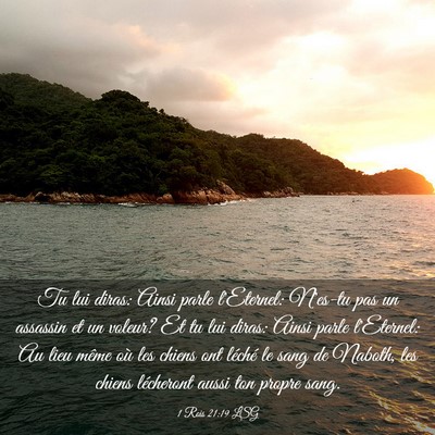 Picture 03 - 1 Rois 21:19 LSG - Tu lui diras: Ainsi parle l'Eternel: N'es-tu pas - Bible Verse Picture