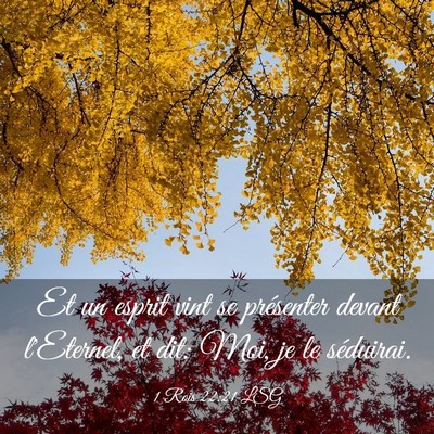 Picture 03 - 1 Rois 22:21 LSG - Et un esprit vint se présenter devant l'Eternel, - Bible Verse Picture
