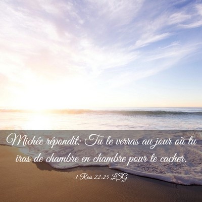 Picture 03 - 1 Rois 22:25 LSG - Michée répondit: Tu le verras au jour où tu - Bible Verse Picture