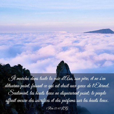 Picture 03 - 1 Rois 22:43 LSG - Il marcha dans toute la voie d'Asa, son père, et - Bible Verse Picture