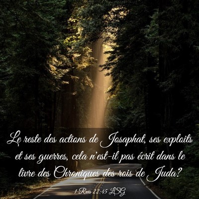 Picture 03 - 1 Rois 22:45 LSG - Le reste des actions de Josaphat, ses exploits et - Bible Verse Picture