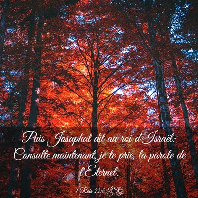 Picture 03 - 1 Rois 22:5 LSG - Puis Josaphat dit au roi d'Israël: Consulte - Bible Verse Picture