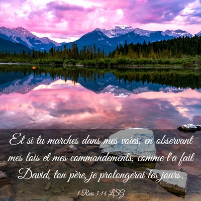 Picture 03 - 1 Rois 3:14 LSG - Et si tu marches dans mes voies, en observant mes - Bible Verse Picture