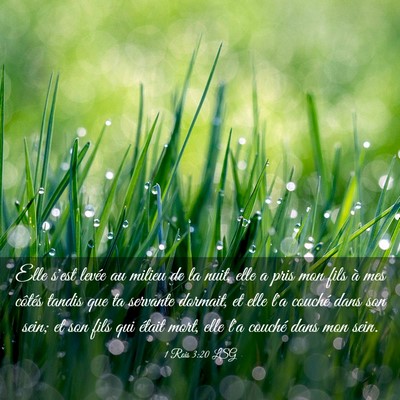 Picture 03 - 1 Rois 3:20 LSG - Elle s'est levée au milieu de la nuit, elle a - Bible Verse Picture