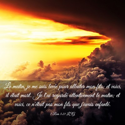 Picture 03 - 1 Rois 3:21 LSG - Le matin, je me suis levée pour allaiter mon - Bible Verse Picture
