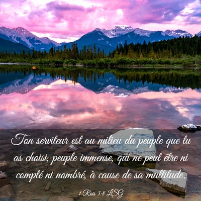 Picture 03 - 1 Rois 3:8 LSG - Ton serviteur est au milieu du peuple que tu as - Bible Verse Picture