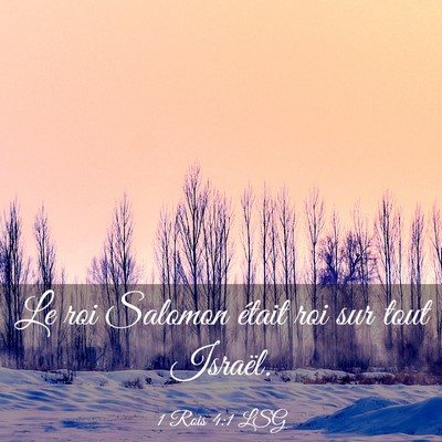 Picture 03 - 1 Rois 4:1 LSG - Le roi Salomon était roi sur tout - Bible Verse Picture