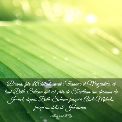 Picture 03 - 1 Rois 4:12 LSG - Baana, fils d'Achilud, avait Thaanac et Meguiddo, - Bible Verse Picture