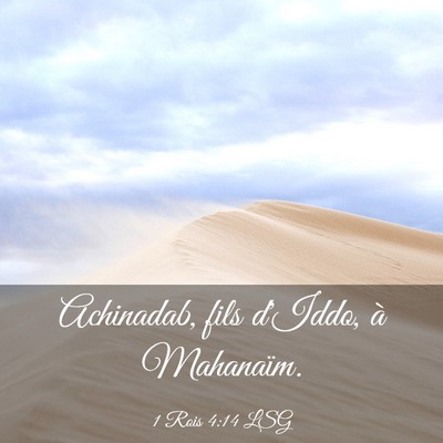 Picture 03 - 1 Rois 4:14 LSG - Achinadab, fils d'Iddo, à - Bible Verse Picture