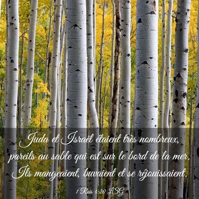 Picture 03 - 1 Rois 4:20 LSG - Juda et Israël étaient très nombreux, pareils - Bible Verse Picture