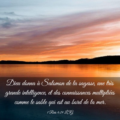 Picture 03 - 1 Rois 4:29 LSG - Dieu donna à Salomon de la sagesse, une très - Bible Verse Picture