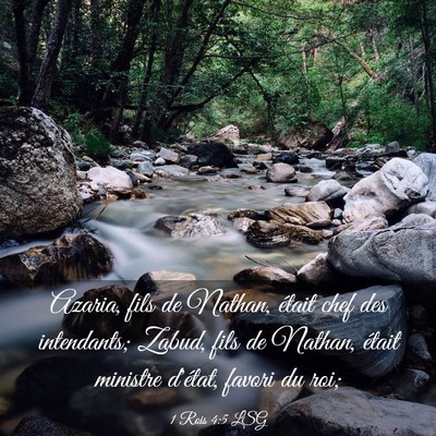 Picture 03 - 1 Rois 4:5 LSG - Azaria, fils de Nathan, était chef des - Bible Verse Picture