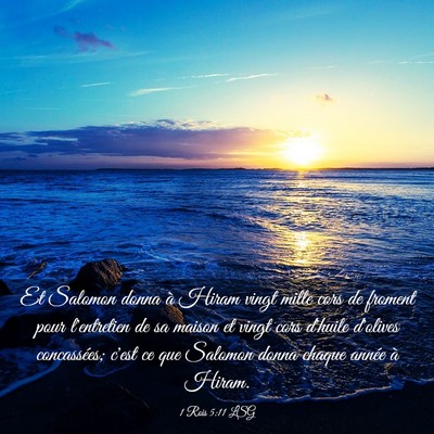 Picture 03 - 1 Rois 5:11 LSG - Et Salomon donna à Hiram vingt mille cors de - Bible Verse Picture