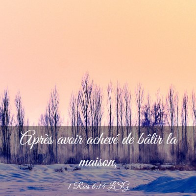 Picture 03 - 1 Rois 6:14 LSG - Après avoir achevé de bâtir la - Bible Verse Picture