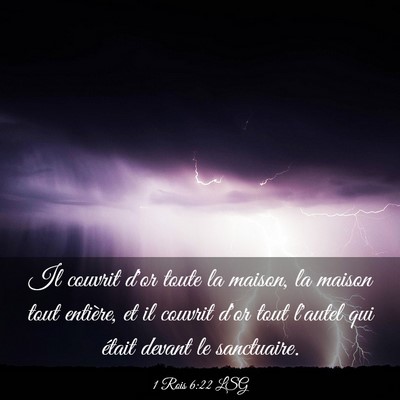 Picture 03 - 1 Rois 6:22 LSG - Il couvrit d'or toute la maison, la maison tout - Bible Verse Picture