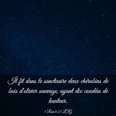 Picture 03 - 1 Rois 6:23 LSG - Il fit dans le sanctuaire deux chérubins de bois - Bible Verse Picture