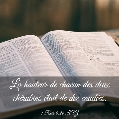 Picture 03 - 1 Rois 6:26 LSG - La hauteur de chacun des deux chérubins était - Bible Verse Picture