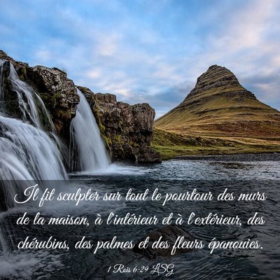 Picture 03 - 1 Rois 6:29 LSG - Il fit sculpter sur tout le pourtour des murs de - Bible Verse Picture