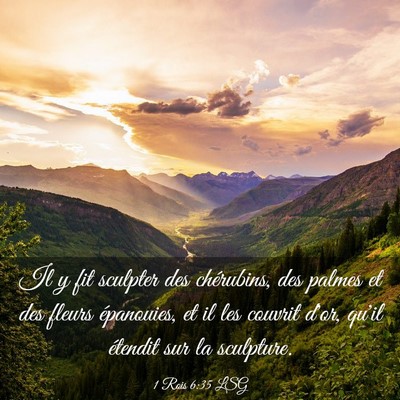 Picture 03 - 1 Rois 6:35 LSG - Il y fit sculpter des chérubins, des palmes et - Bible Verse Picture