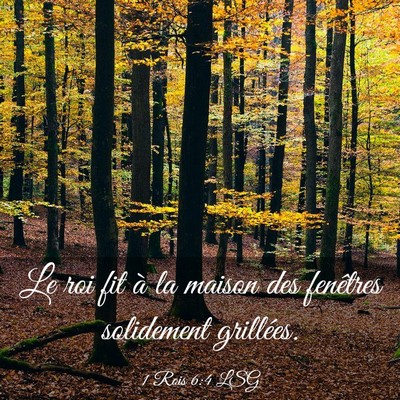 Picture 03 - 1 Rois 6:4 LSG - Le roi fit à la maison des fenêtres solidement - Bible Verse Picture
