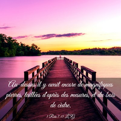 Picture 03 - 1 Rois 7:11 LSG - Au-dessus il y avait encore de magnifiques - Bible Verse Picture