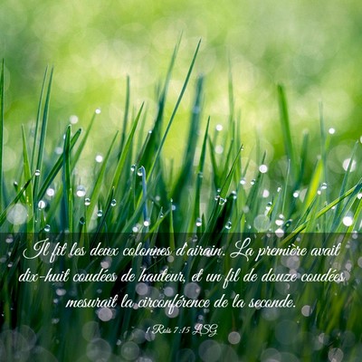 Picture 03 - 1 Rois 7:15 LSG - Il fit les deux colonnes d'airain. La première - Bible Verse Picture