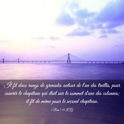 Picture 03 - 1 Rois 7:18 LSG - Il fit deux rangs de grenades autour de l'un des - Bible Verse Picture