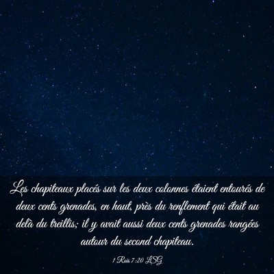 Picture 03 - 1 Rois 7:20 LSG - Les chapiteaux placés sur les deux colonnes - Bible Verse Picture