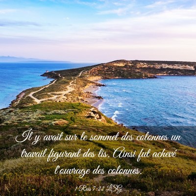 Picture 03 - 1 Rois 7:22 LSG - Il y avait sur le sommet des colonnes un travail - Bible Verse Picture