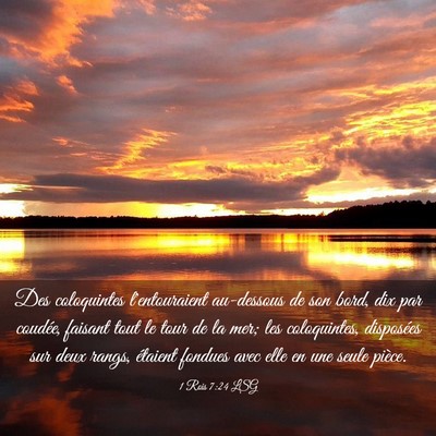 Picture 03 - 1 Rois 7:24 LSG - Des coloquintes l'entouraient au-dessous de son - Bible Verse Picture