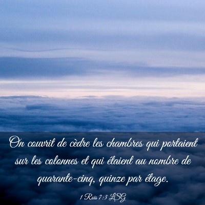 Picture 03 - 1 Rois 7:3 LSG - On couvrit de cèdre les chambres qui portaient - Bible Verse Picture