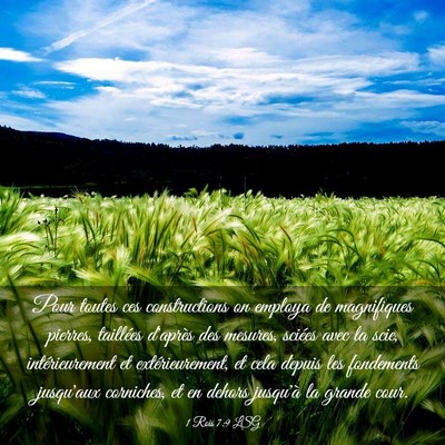 Picture 03 - 1 Rois 7:9 LSG - Pour toutes ces constructions on employa de - Bible Verse Picture
