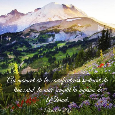 Picture 03 - 1 Rois 8:10 LSG - Au moment où les sacrificateurs sortirent du - Bible Verse Picture