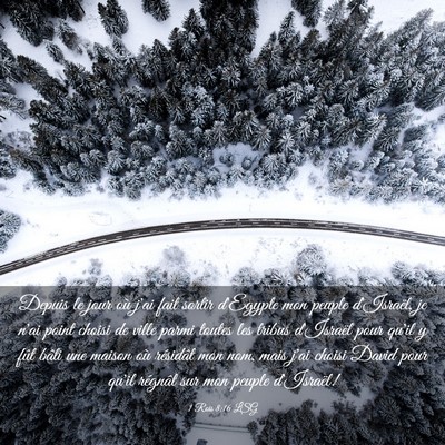 Picture 03 - 1 Rois 8:16 LSG - Depuis le jour où j'ai fait sortir d'Egypte mon - Bible Verse Picture