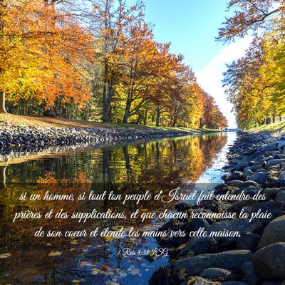 Picture 03 - 1 Rois 8:38 LSG - si un homme, si tout ton peuple d'Israël fait - Bible Verse Picture