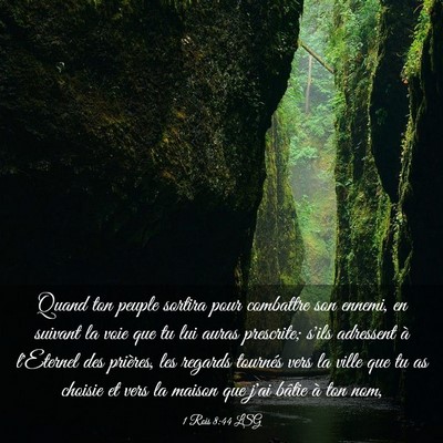 Picture 03 - 1 Rois 8:44 LSG - Quand ton peuple sortira pour combattre son - Bible Verse Picture