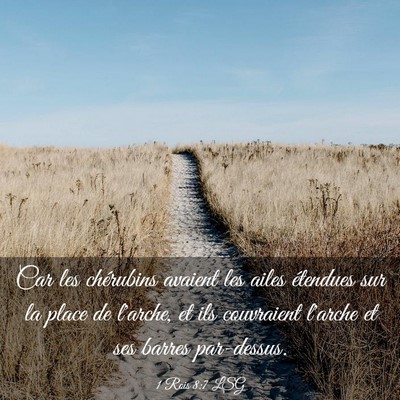 Picture 03 - 1 Rois 8:7 LSG - Car les chérubins avaient les ailes étendues - Bible Verse Picture