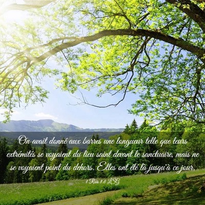 Picture 03 - 1 Rois 8:8 LSG - On avait donné aux barres une longueur telle que - Bible Verse Picture