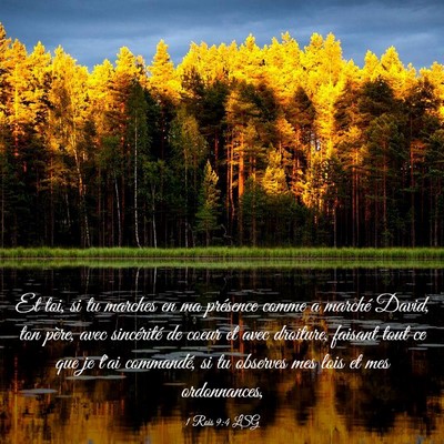 Picture 03 - 1 Rois 9:4 LSG - Et toi, si tu marches en ma présence comme a - Bible Verse Picture