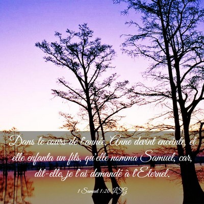 Picture 03 - 1 Samuel 1:20 LSG - Dans le cours de l'année, Anne devint enceinte, - Bible Verse Picture