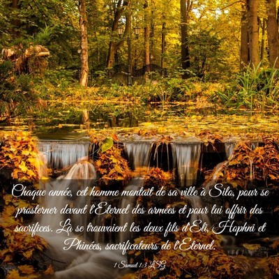 Picture 03 - 1 Samuel 1:3 LSG - Chaque année, cet homme montait de sa ville à - Bible Verse Picture