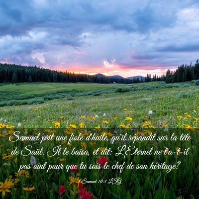 Picture 03 - 1 Samuel 10:1 LSG - Samuel prit une fiole d'huile, qu'il répandit - Bible Verse Picture
