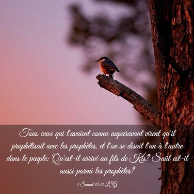 Picture 03 - 1 Samuel 10:11 LSG - Tous ceux qui l'avaient connu auparavant virent - Bible Verse Picture