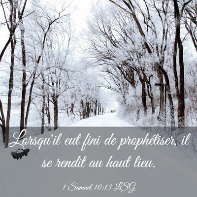 Picture 03 - 1 Samuel 10:13 LSG - Lorsqu'il eut fini de prophétiser, il se rendit - Bible Verse Picture
