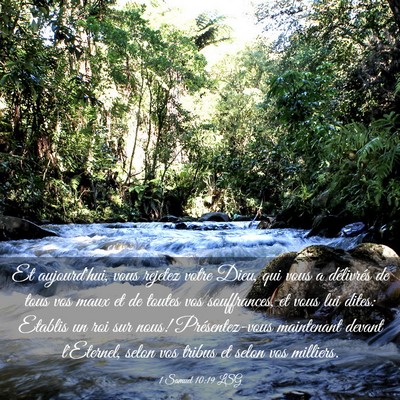 Picture 03 - 1 Samuel 10:19 LSG - Et aujourd'hui, vous rejetez votre Dieu, qui vous - Bible Verse Picture