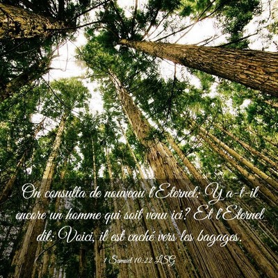 Picture 03 - 1 Samuel 10:22 LSG - On consulta de nouveau l'Eternel: Y a-t-il encore - Bible Verse Picture