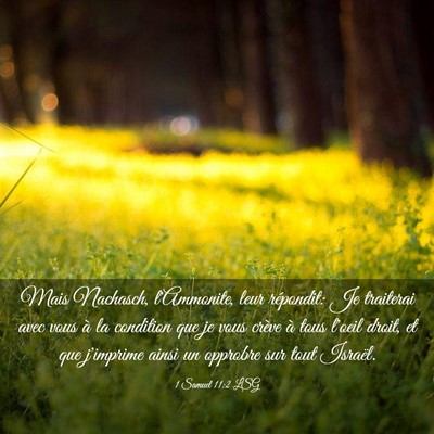 Picture 03 - 1 Samuel 11:2 LSG - Mais Nachasch, l'Ammonite, leur répondit: Je - Bible Verse Picture
