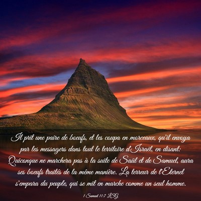 Picture 03 - 1 Samuel 11:7 LSG - Il prit une paire de boeufs, et les coupa en - Bible Verse Picture