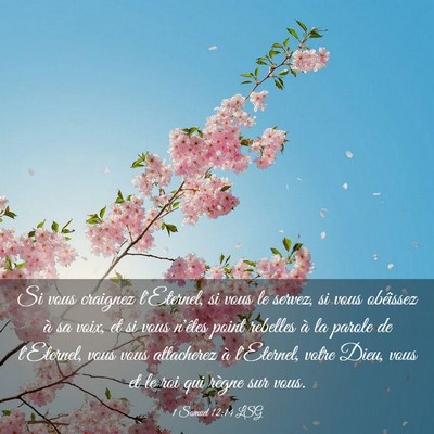 Picture 03 - 1 Samuel 12:14 LSG - Si vous craignez l'Eternel, si vous le servez, si - Bible Verse Picture